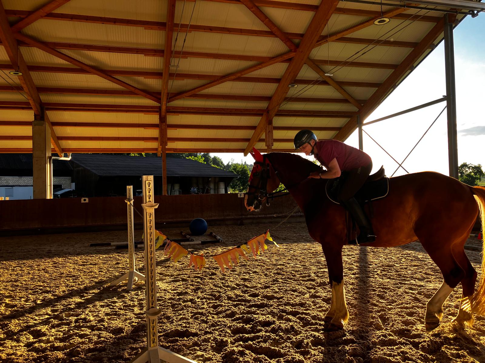 Bild 9